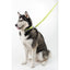 Comfort Microfiber Flat Dog Collar Dog Collar Dogline