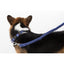 Comfort Microfiber Flat Dog Collar Dog Collar Dogline