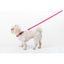 Comfort Microfiber Flat Dog Collar Dog Collar Dogline