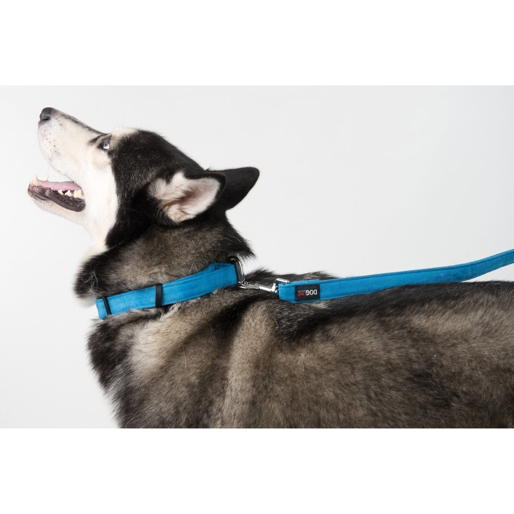Comfort Microfiber Flat Dog Collar Dog Collar Dogline