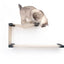 The Double Decker - Cat Hanging Bed Set Cat Hammock Catastrophic Creations