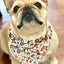 Floral Dog Bandana Dog Bandana Happy Tails Outfitters