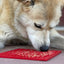 "Peace" Christmast Tree Dog Lick Mat | eMat Enrichment Lick Mat | SodaPup EMAT SodaPup/True Dogs, LLC