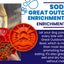 Great Outdoors eBowl - Slow Feeder Dog Bowl & Enrichment | USA Made EBOWL SodaPup/True Dogs, LLC