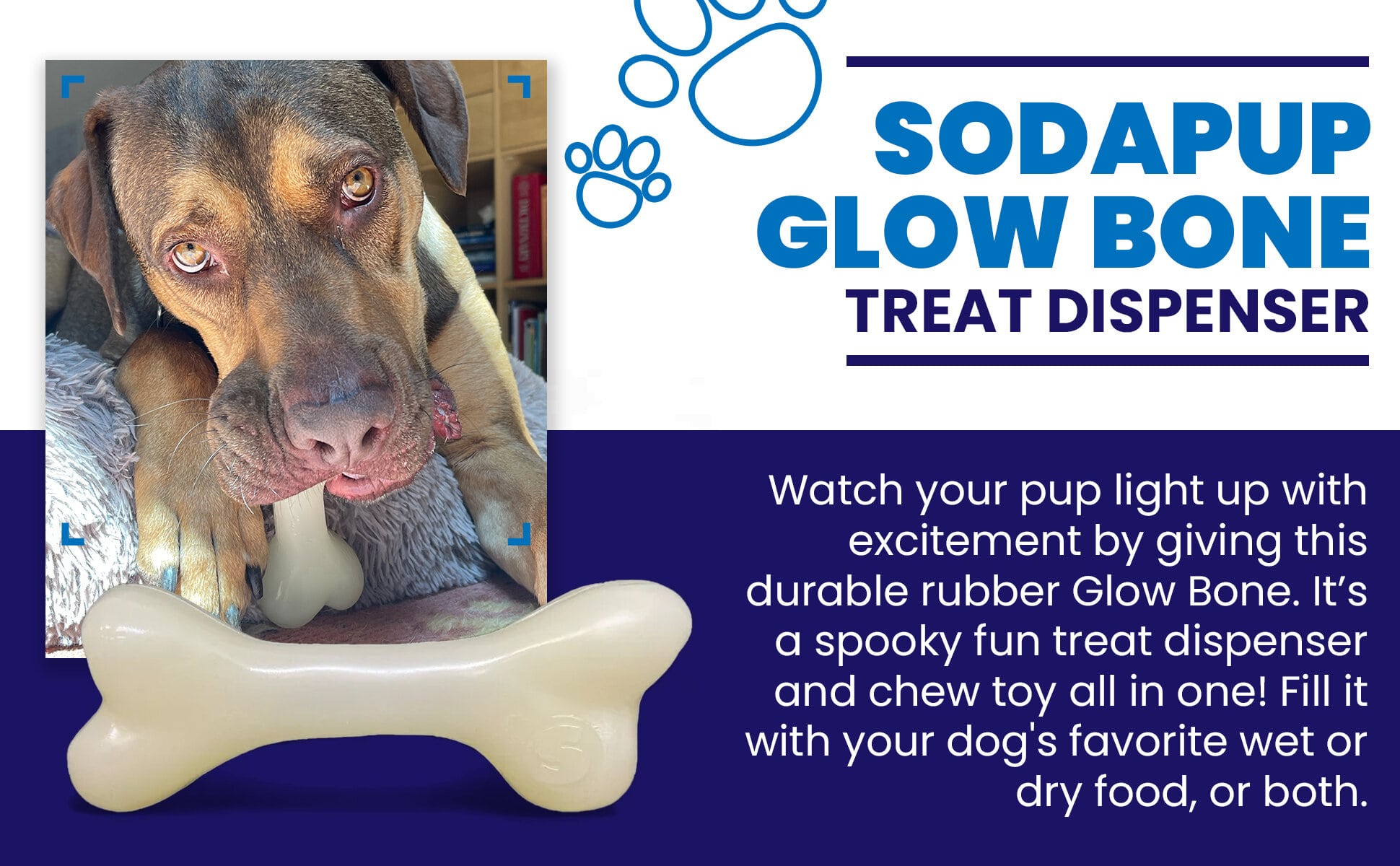 PUP-X Rubber Bone Dog Toy - Durable, Floats, Chew Toy for Large Dogs | USA Rubber Dog Toys SodaPup/True Dogs, LLC