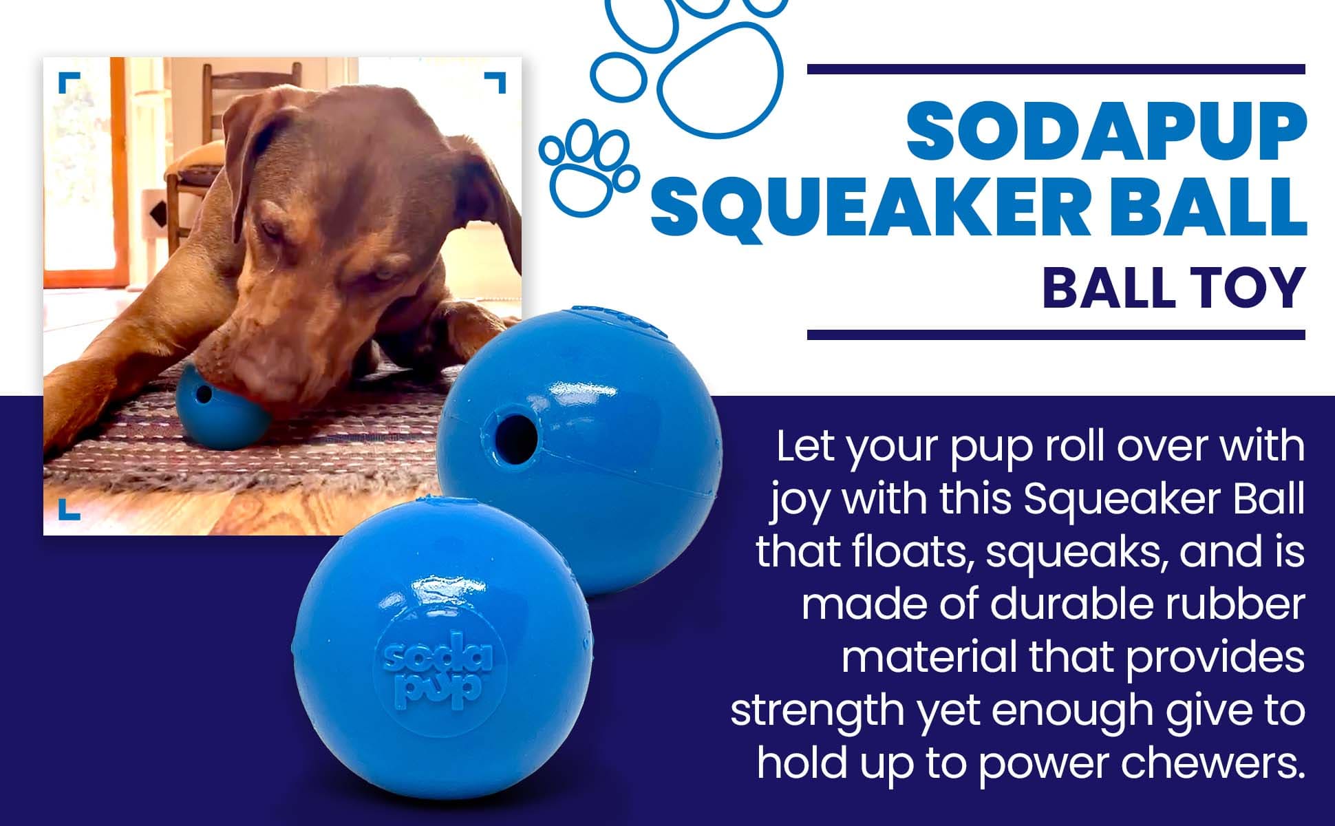Squeak Ball - Durable Squeaky Dog Toy, Floats, Chew Toy | USA Made Rubber Dog Toys SodaPup/True Dogs, LLC