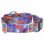 Love Graffiti Blue Buckle Martingale Dog Collar – EarthStyle 1 inch 2 Hounds Design