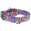 Love Graffiti Blue Martingale Dog Collar – EarthStyle 1 inch 2 Hounds Design