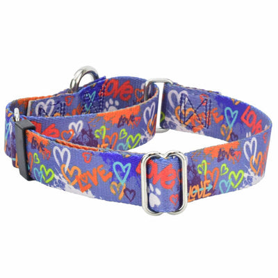 Love Graffiti Blue Martingale Dog Collar – EarthStyle 1 inch 2 Hounds Design