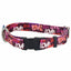 Love Graffiti Red Dog Collar – EarthStyle 5 8 inch Dog Collar 2 Hounds Design