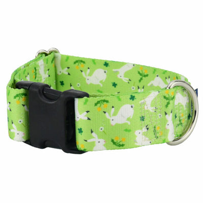 Lucky Dog Dog Collar – EarthStyle 1.5 inch 2 Hounds Design
