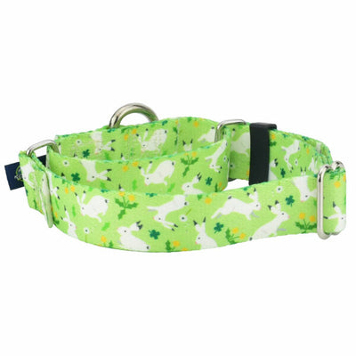 Lucky Dog Martingale Dog Collar – EarthStyle 1 inch 2 Hounds Design
