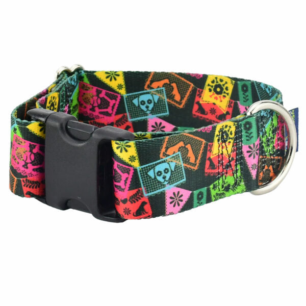 Paper Flags Dog Collar – EarthStyle 1.5 inch Dog Collar 2 Hounds Design