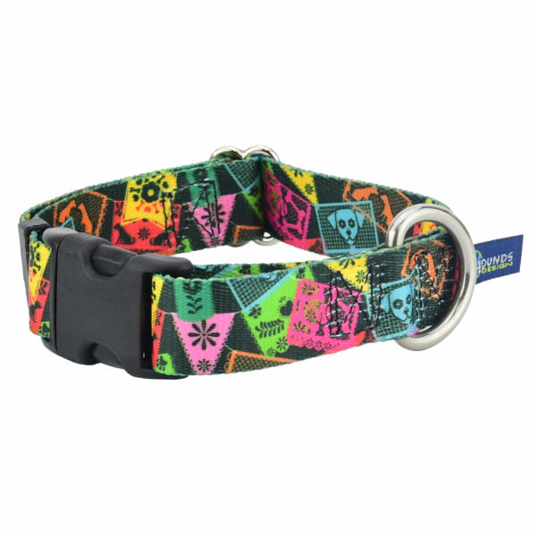 Paper Flags Dog Collar – EarthStyle 1 inch Dog Collar 2 Hounds Design