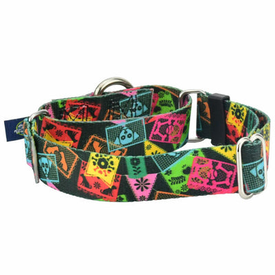 Paper Flags Martingale Dog Collar – EarthStyle 1 inch 2 Hounds Design