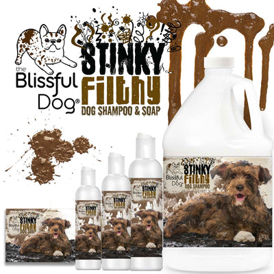 Stinky Filthy Dog Shampoo & Soap 16 OZ Bottle SHAMPOO The Blissful Dog