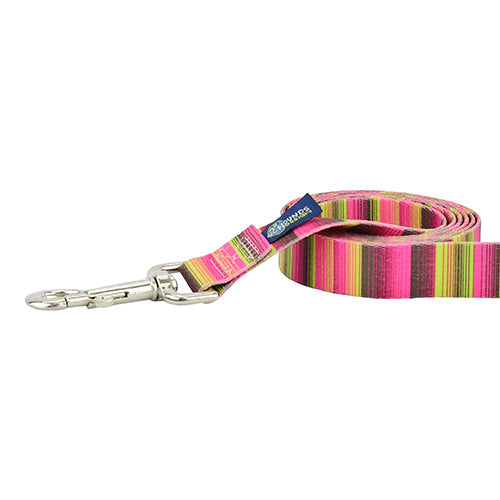 Bonnie Dog Leash – EarthStyle 2 Hounds Design