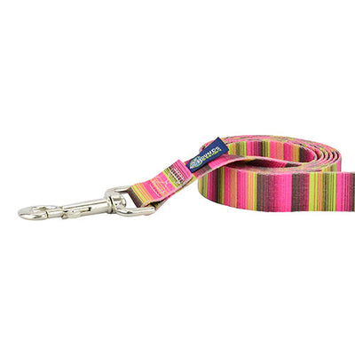 Bonnie Dog Leash – EarthStyle 2 Hounds Design
