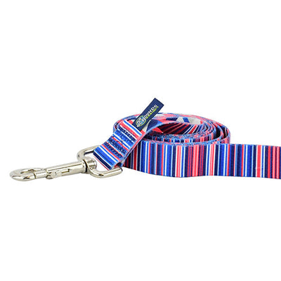 Rocky Dog Leash – EarthStyle 2 Hounds Design