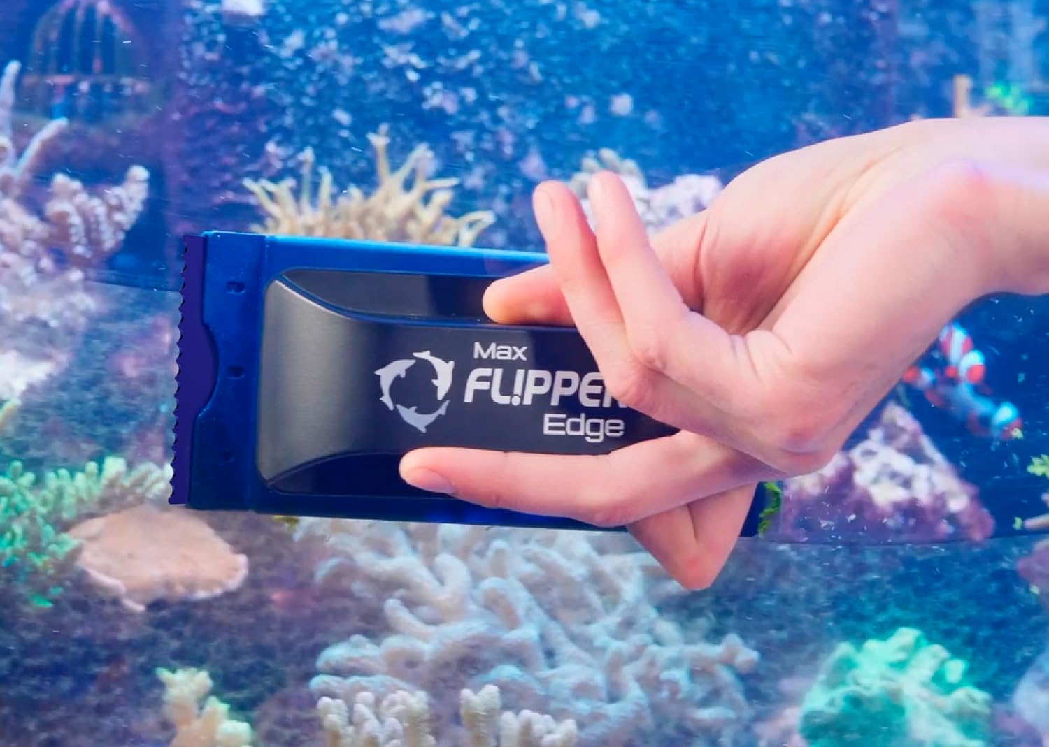 Flipper Edge Standard Acrylic Safe Plastic Blades 10 Pack Replacement Blades Flipper Aquarium Products