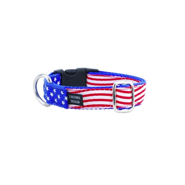 1″ Stars and Stripes Essential Martingale Dog Collar 2 Hounds Design