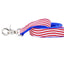 1″ Stars and Stripes Ribbon Dog Leash 2 Hounds Design