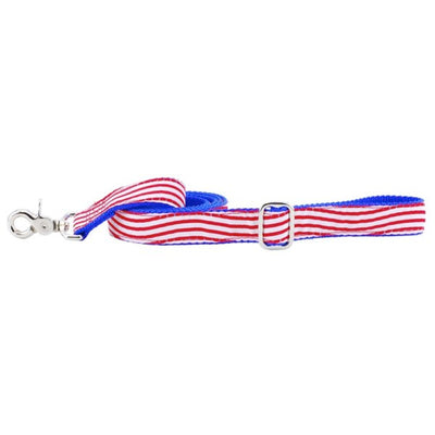 1″ Stars and Stripes Ribbon Dog Leash 2 Hounds Design