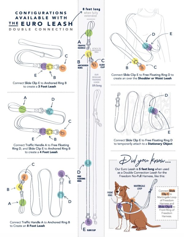 Euro Dog Leash Double Connection (Multiple Color Options) 2 Hounds Design