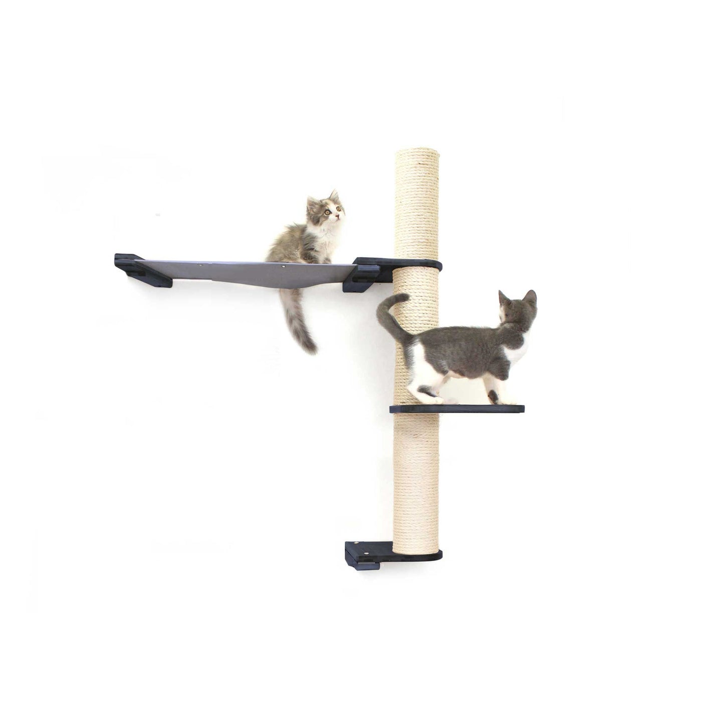 The Crow's Nest - A Wall Cat Scratcher with Hammock Onyx Bamboo Charcoal Gray Canvas 2-Tier 24" Cat Condo Catastrophic Creations