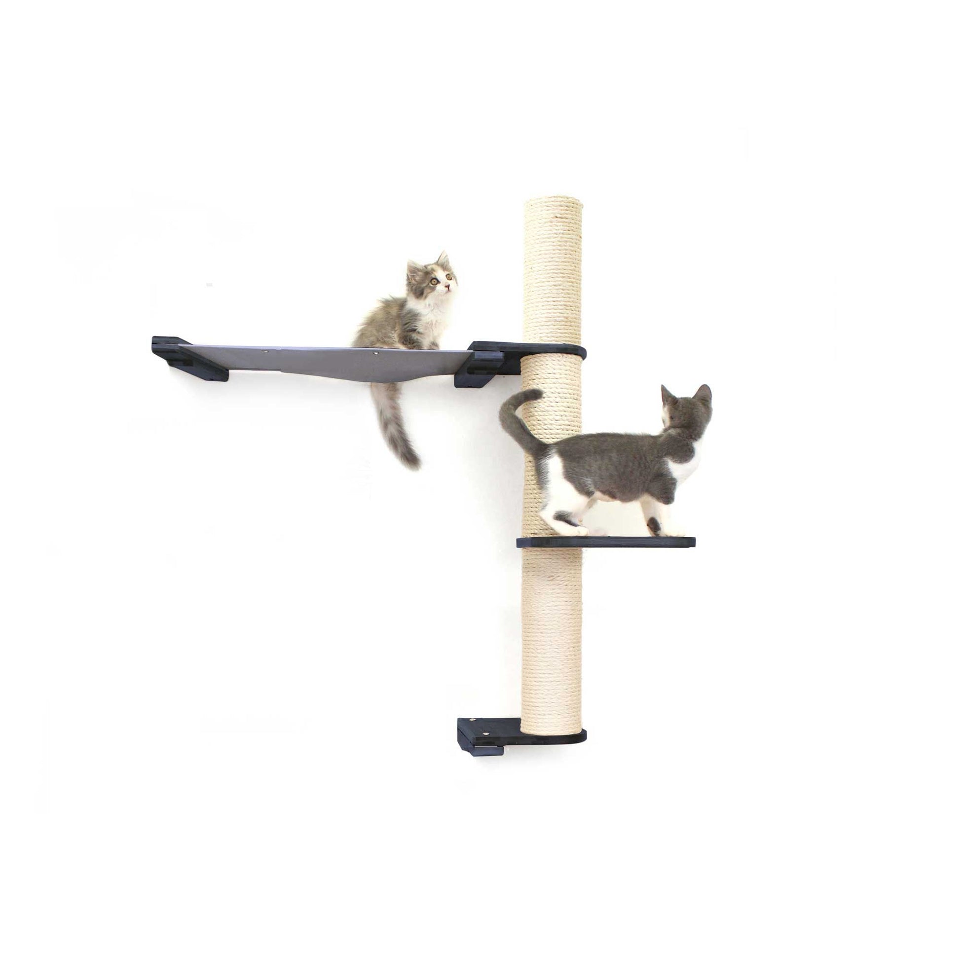 The Crow's Nest - A Wall Cat Scratcher with Hammock Onyx Bamboo Charcoal Gray Canvas 2-Tier 24" Cat Condo Catastrophic Creations