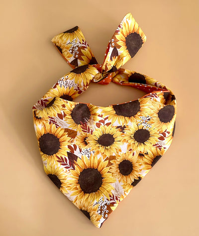 Sunflower Dog Bandana Dog Bandana Happy Tails Outfitters