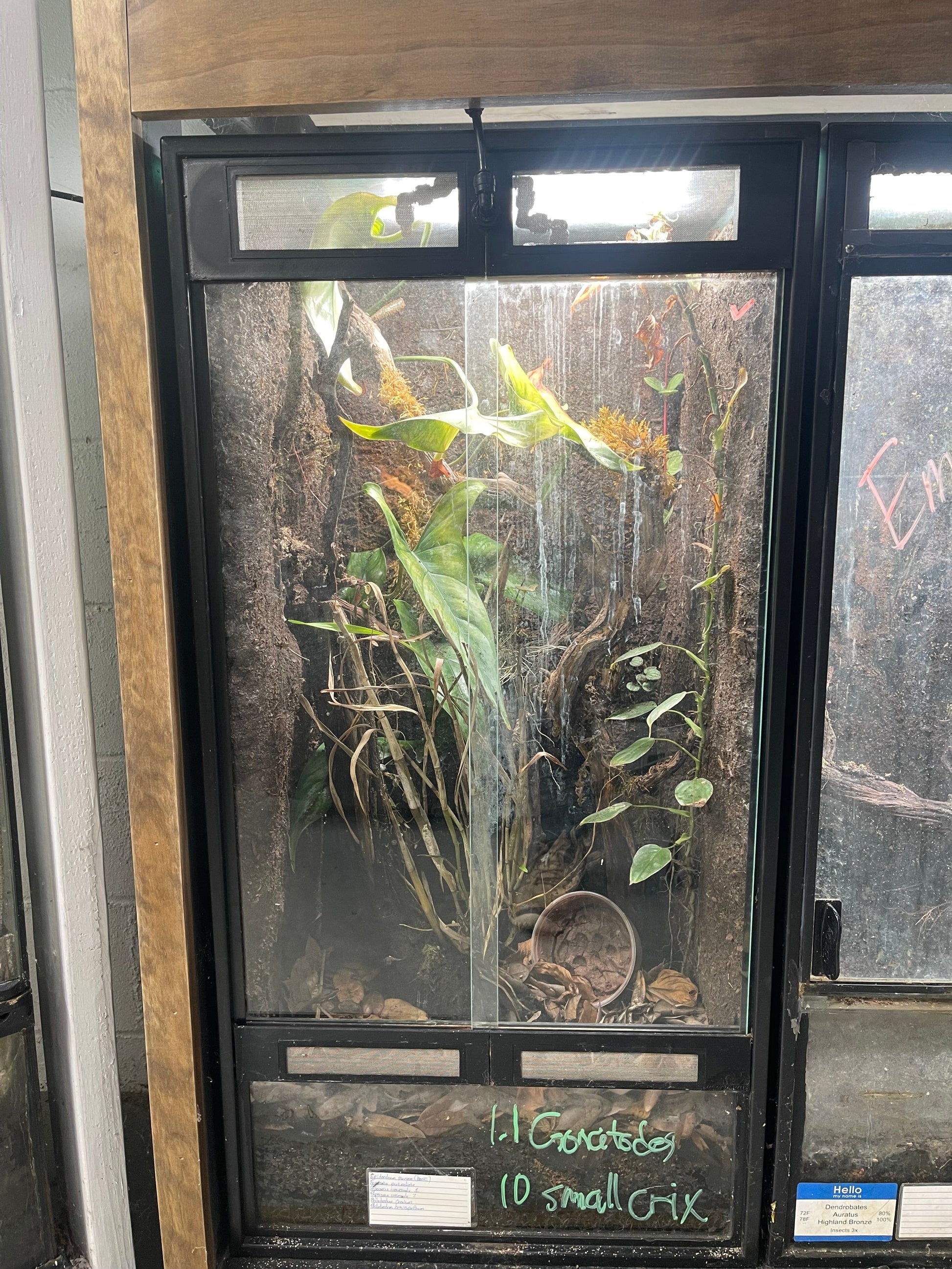 Thrive Ecosystems Aqueon Aquarium Conversion Kit 40 Vert Thrive Ecosystems