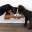 Wall Mounted Cat Feeding Shelf Standard English Chestnut Bamboo Standalone Shelf Cat shelves/bed Catastrophic Creations