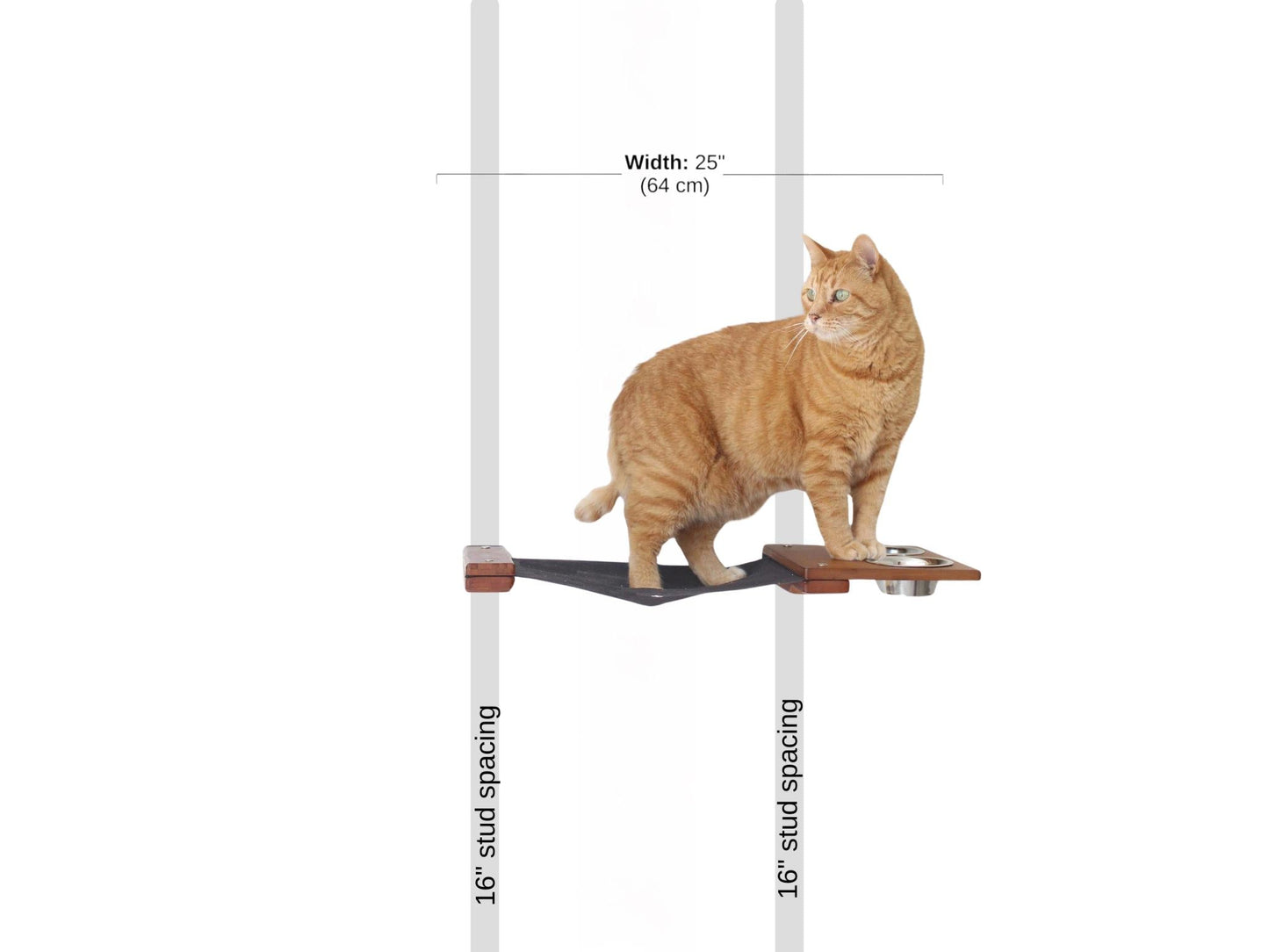 Dog Proof Cat Feeder - Wall-Mounted - Raised Cat Hammock Catastrophic Creations