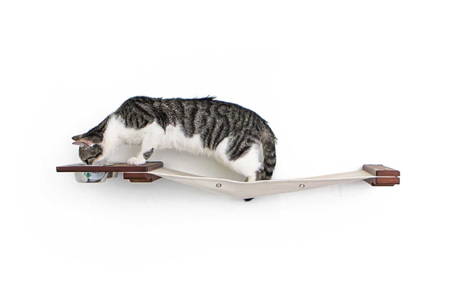 Dog Proof Cat Feeder - Wall-Mounted - Raised Cat Hammock Catastrophic Creations