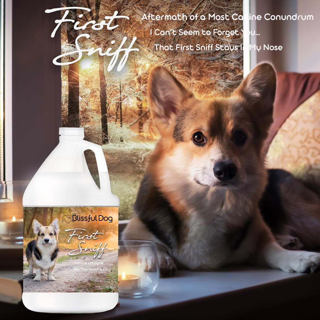 First Sniff Dog Cologne - Your First Sniff Stays on My Mind US Gallon Cologne The Blissful Dog