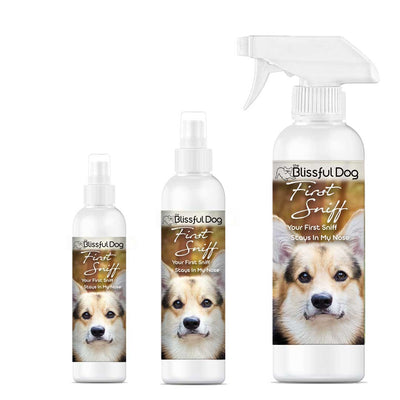 First Sniff Dog Cologne - Your First Sniff Stays on My Mind 4 oz Cologne The Blissful Dog
