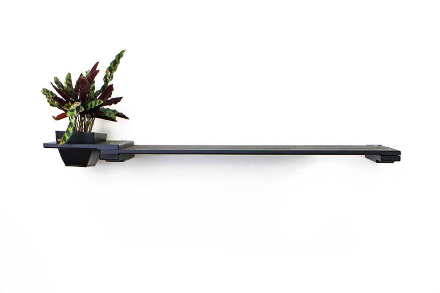 Cat Plant Stand for Wall Onyx Bamboo 34" Solid Shelf Cat shelves/bed Catastrophic Creations