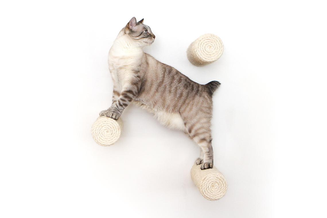 Floating Cat Step for Wall Cat Scratcher Catastrophic Creations