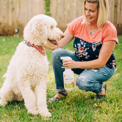 Flea & Tick Spray for Pets + Home sale Wondercide