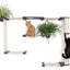 The Gardens - Modern Cat Tree with Plants Onyx Bamboo Natural Canvas Mini Garden None Cat Condo Catastrophic Creations