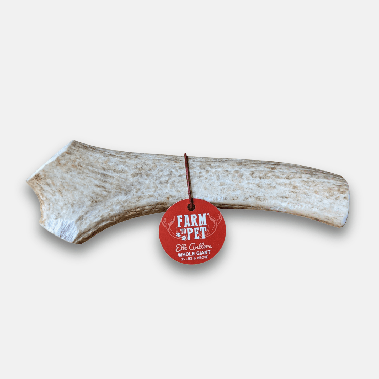 Elk Antler Dog Chews | All-Natural Whole and Split Elk Antler Chews for Dogs Whole Giant (35+ LBS) Antler Dog Chew Farm To Pet