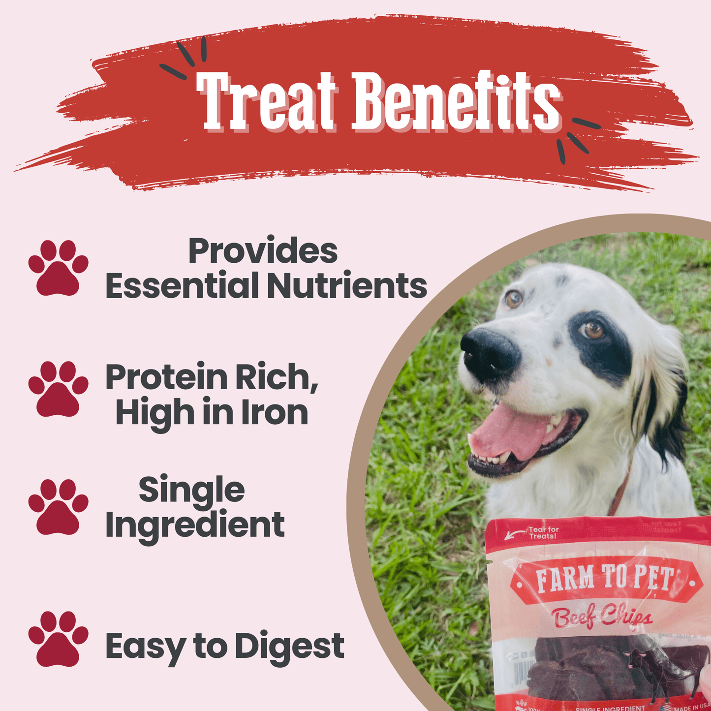 Beef Chips Snack Pack Bundles | Dog Treats for Training & Travel Snack Pack Farm To Pet