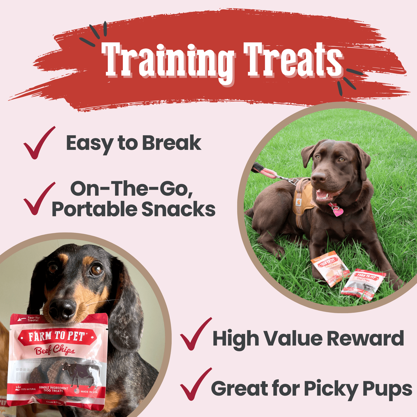 Beef Chips Snack Pack Bundles | Dog Treats for Training & Travel Snack Pack Farm To Pet