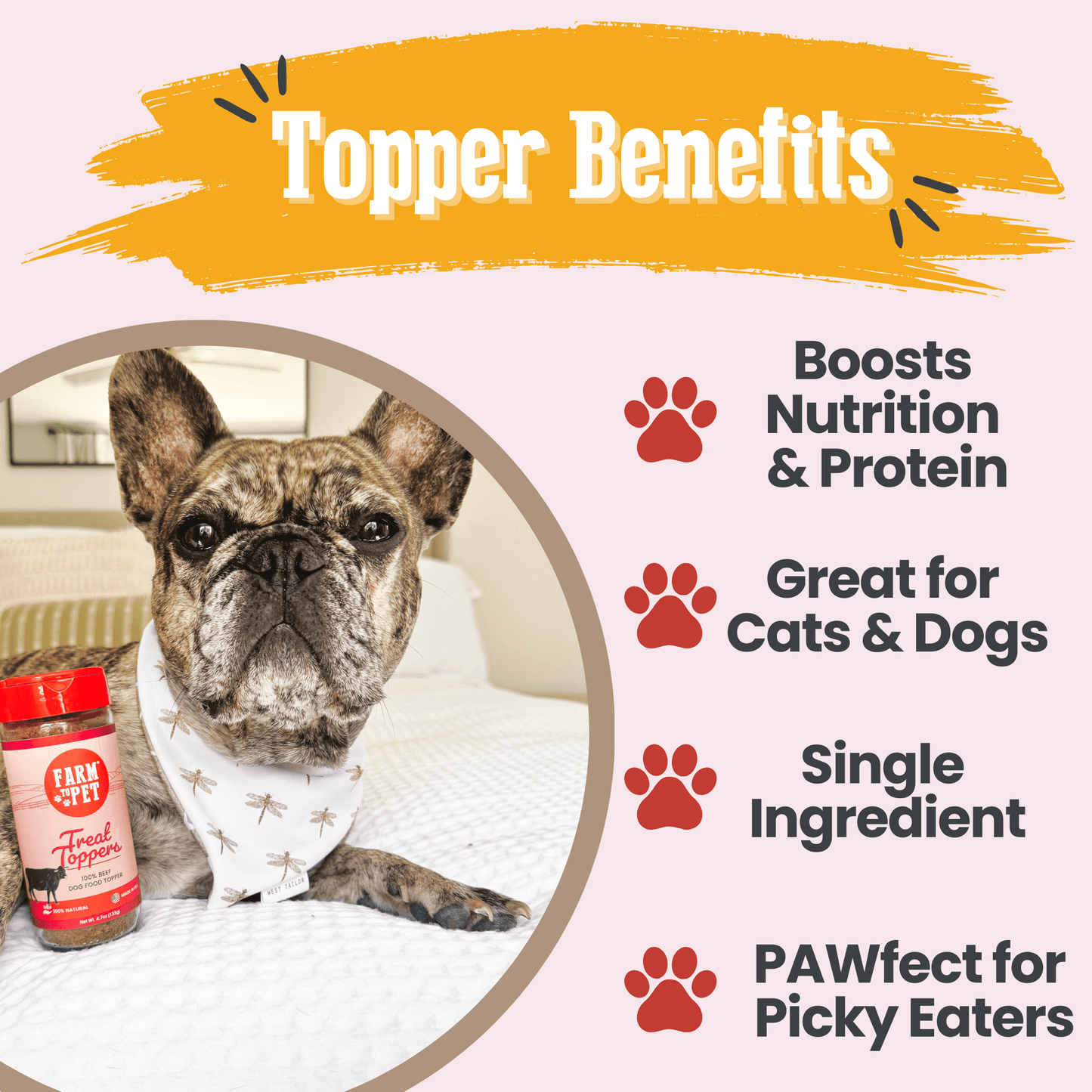 Treat Topper Beef Dog Food Topper | Powdered Meal Topper for Pets Topper Farm To Pet