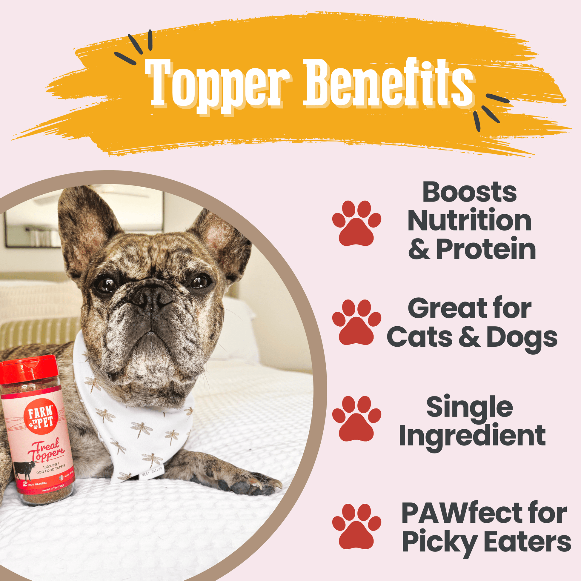Treat Topper Beef Dog Food Topper | Powdered Meal Topper for Pets Topper Farm To Pet