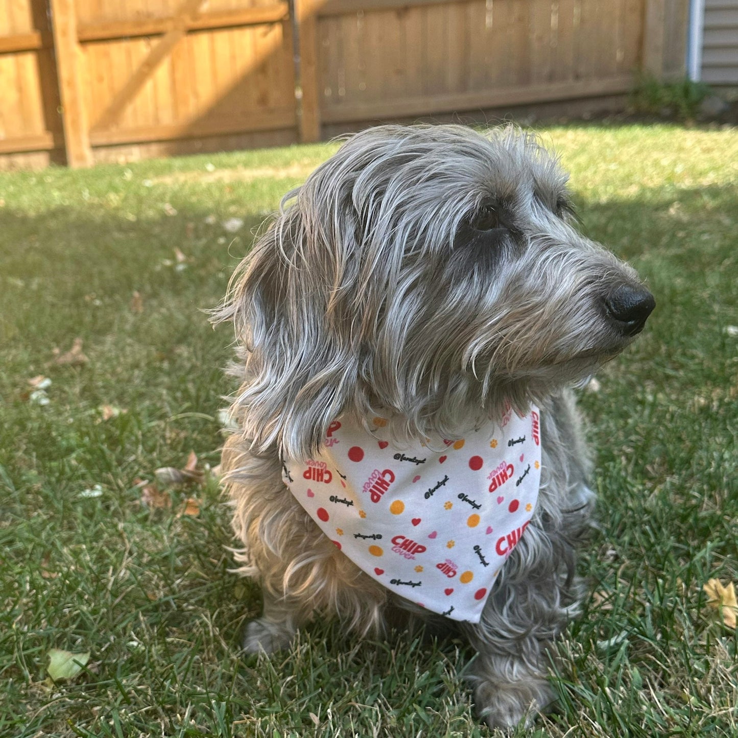 Tie-on Dog Bandana | Adjustable String-tie Bandana for Dogs and Cats Bandana Farm To Pet