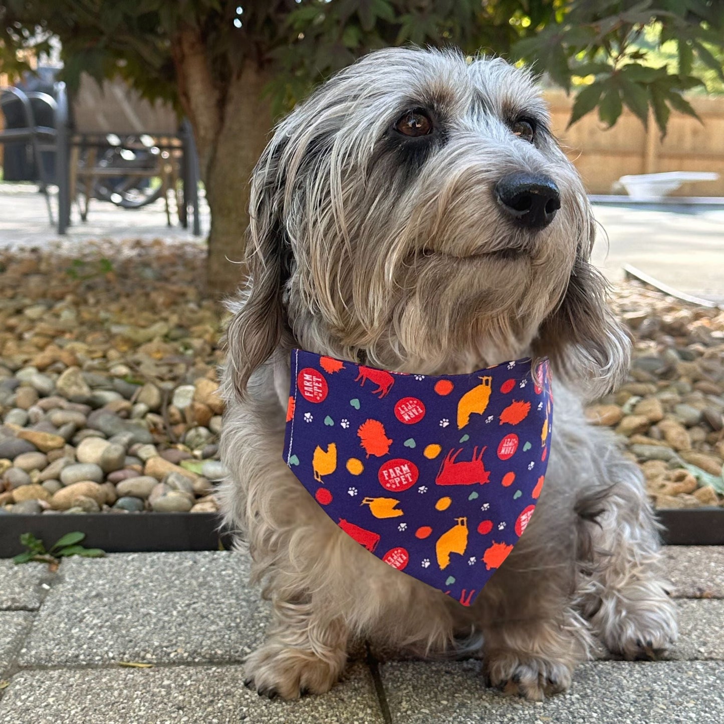 Tie-on Dog Bandana | Adjustable String-tie Bandana for Dogs and Cats Bandana Farm To Pet