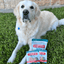 Fish Chips Snack Pack Bundles | Dog Treats for Training & Travel Snack Pack Farm To Pet