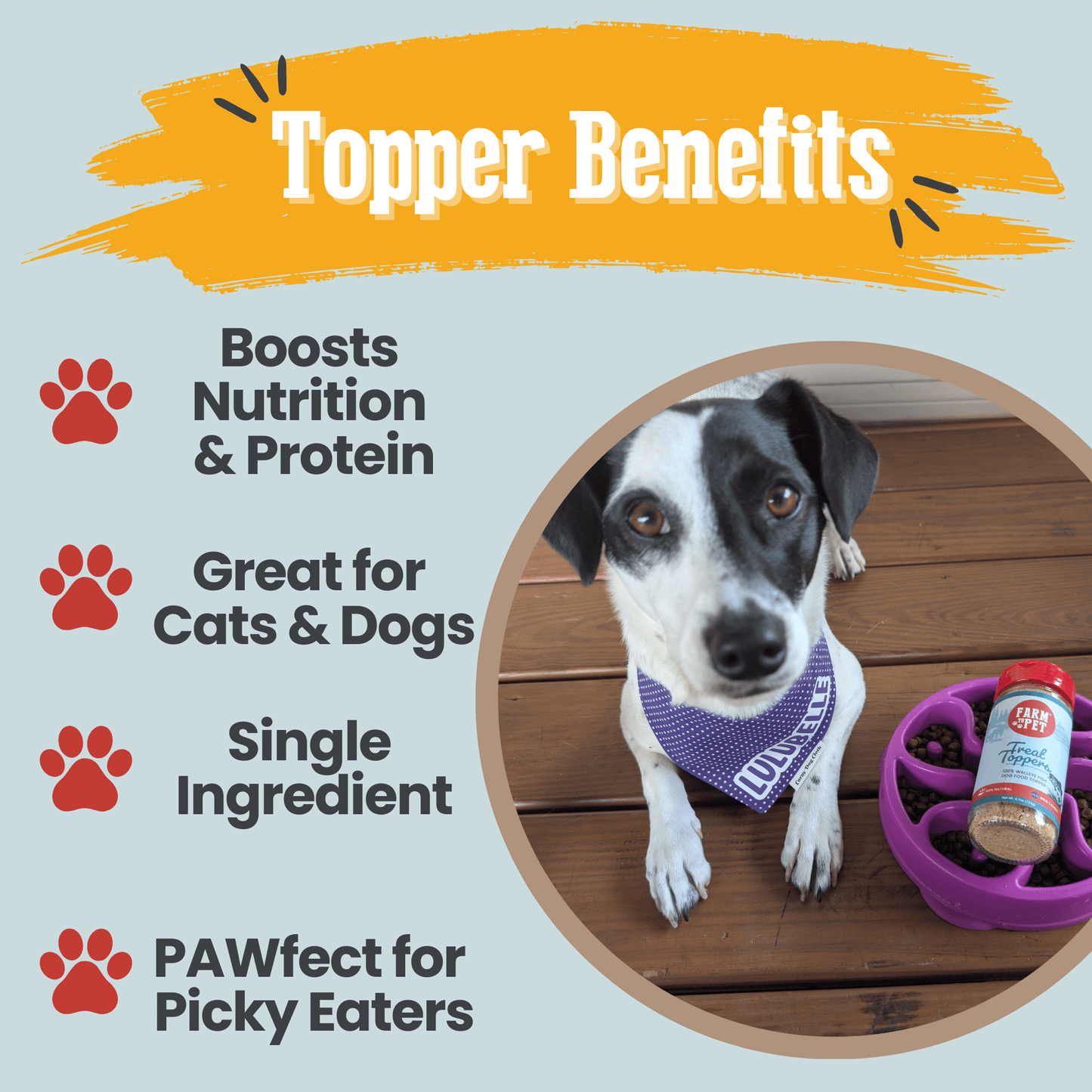 Treat Topper Fish Dog Food Topper | Low-Fat Meal Topper for Pets Topper Farm To Pet